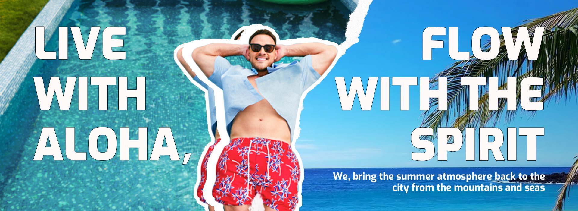 About Hardaddy | hardaddy