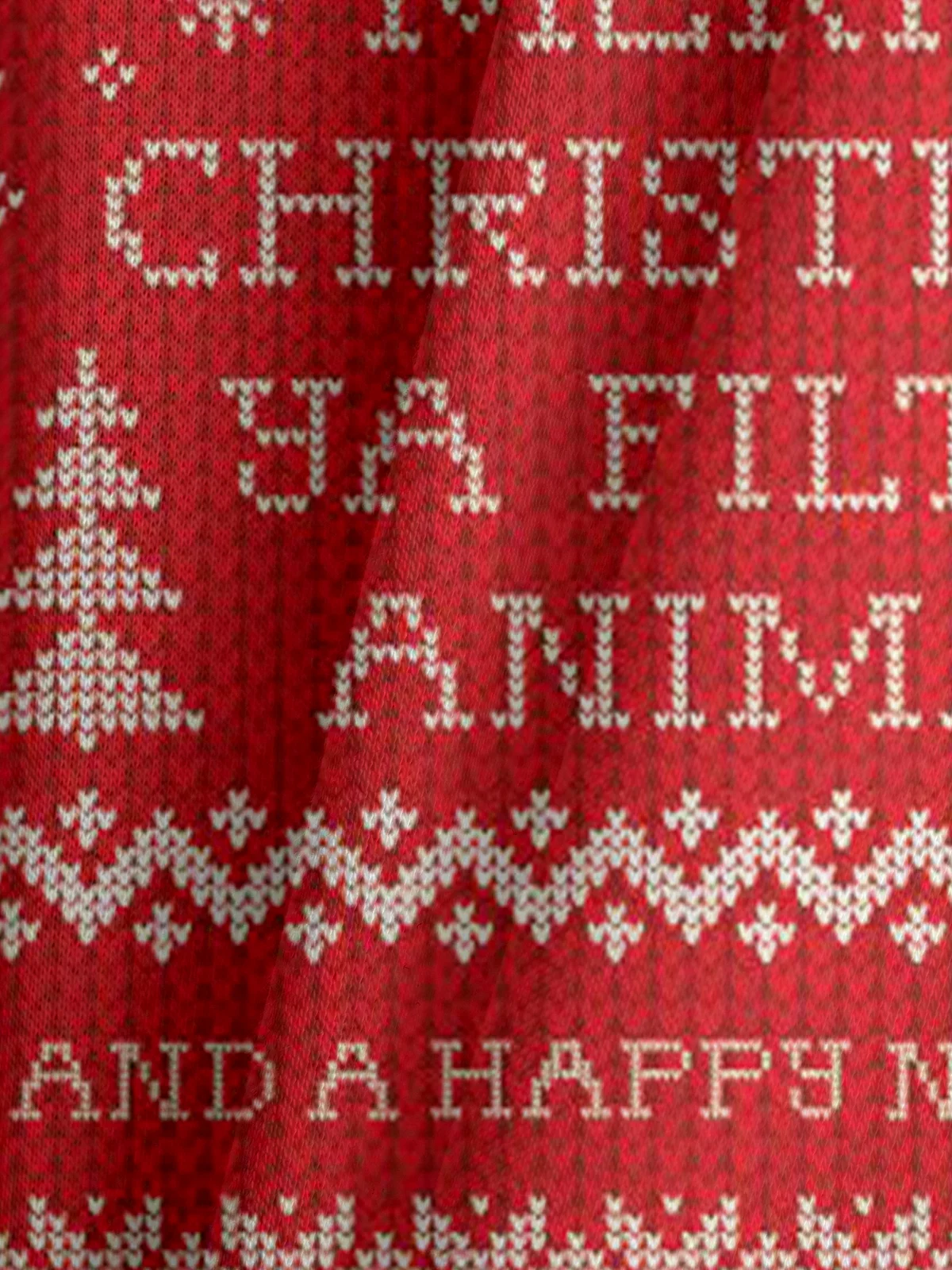 Christmas Text Letter Hoodie